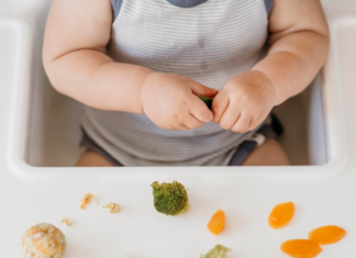 Alimentación Complementaria: la Transición del Bebé a los Sólidos